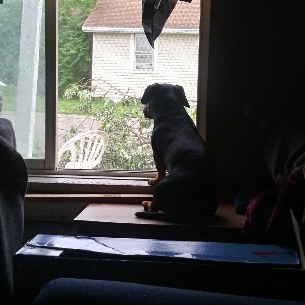 Meet your Posher, April